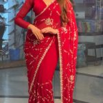 Chinigura Georgette Sequences Embroidery  Sharee