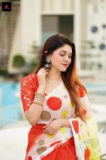 চান্দেরি সিল্ক শাড়ি - Image 3