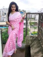 Soft Silk Indian-Inspired Katan Saree - Image 2