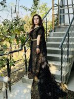 Dhupian Silk Sharee with Blaus  Piece - Image 3