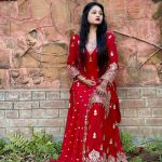 Indian Fox Georgette Thrree Piece