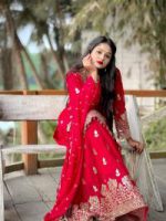 Indian Fox Georgette Thrree Piece - Image 3