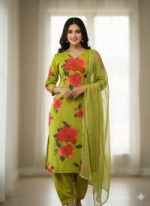 Indian weat less Georgette - Image 2