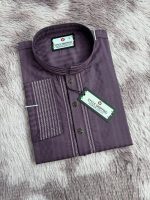 Indian Embroidery Panjabi